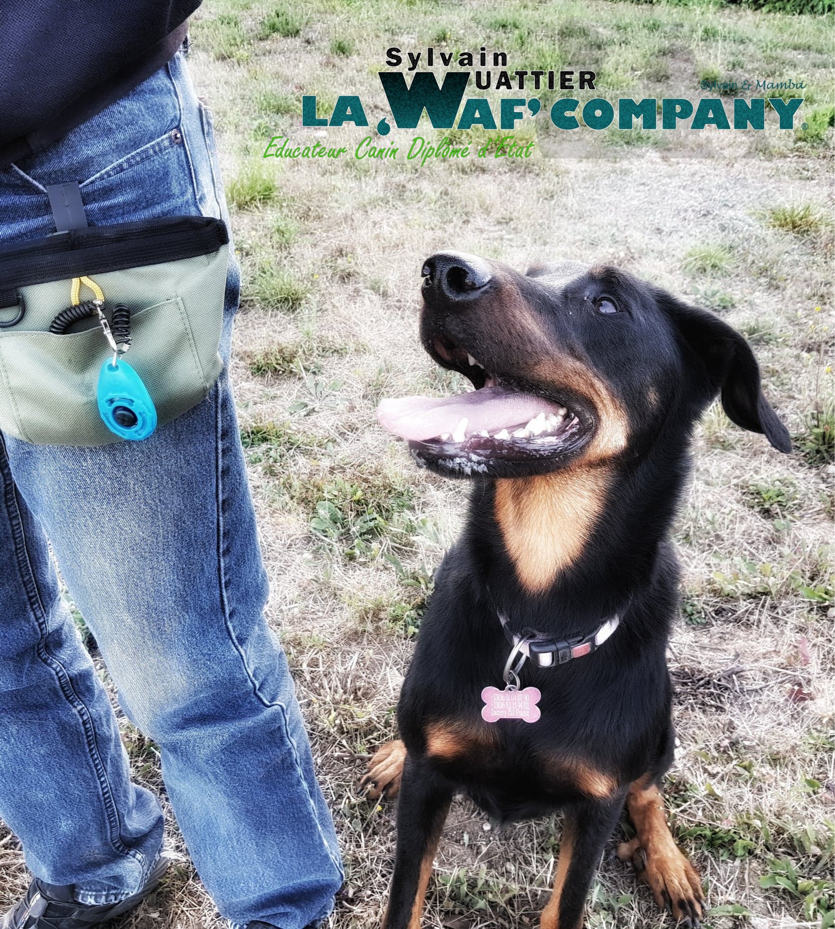 Bien utiliser le clicker | | LA WAF COMPANY ® - Sylvain WUATTIER, éducateur canin