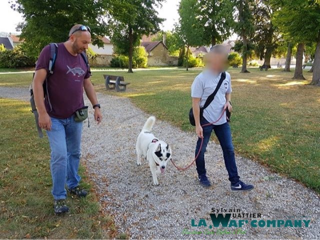 LA WAF COMPANY ® - Sylvain WUATTIER, éducateur canin