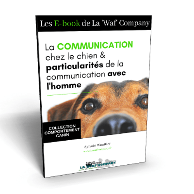 E-BOOK : La communication chez le chien et particularités avec l’homme
