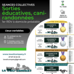 Billets "séances collectives"