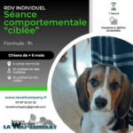 Séance comportementale (1er RDV à domicile) : formule "ciblée" d'1 heure