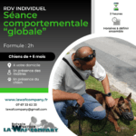 Séance comportementale (1er RDV à domicile) : formule "globale" de 2 heures