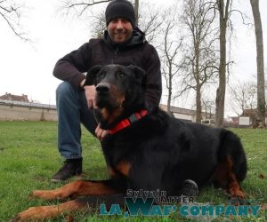 LA WAF COMPANY ® - Sylvain WUATTIER, éducateur canin