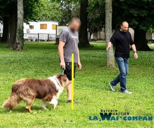 Éducation | LA WAF COMPANY ® - Sylvain WUATTIER, éducateur canin