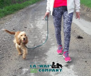 Cours individuel d'éducation| LA WAF COMPANY ® - Sylvain WUATTIER, éducateur canin