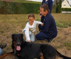 Stage peur des chiens | LA WAF COMPANY ® - Sylvain WUATTIER, éducateur canin