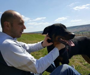 Sylvain & Mamba | LA WAF COMPANY ® - Sylvain WUATTIER, éducateur canin