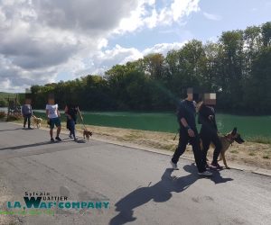 Promenades éducatives collectives | LA WAF COMPANY ® - Sylvain WUATTIER, éducateur canin