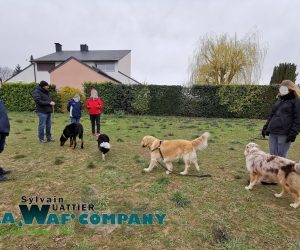 Cynophobie | LA WAF COMPANY ® - Sylvain WUATTIER, éducateur canin