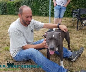 Chiens catégorisés | LA WAF COMPANY ® - Sylvain WUATTIER, éducateur canin