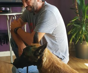 Séance comportementale | LA WAF COMPANY ® - Sylvain WUATTIER, éducateur canin